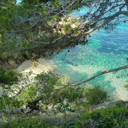 Apartment Selectsohome - Evasion A Aiguebelle 4 Pers - Londine-12 Le Lavandou
